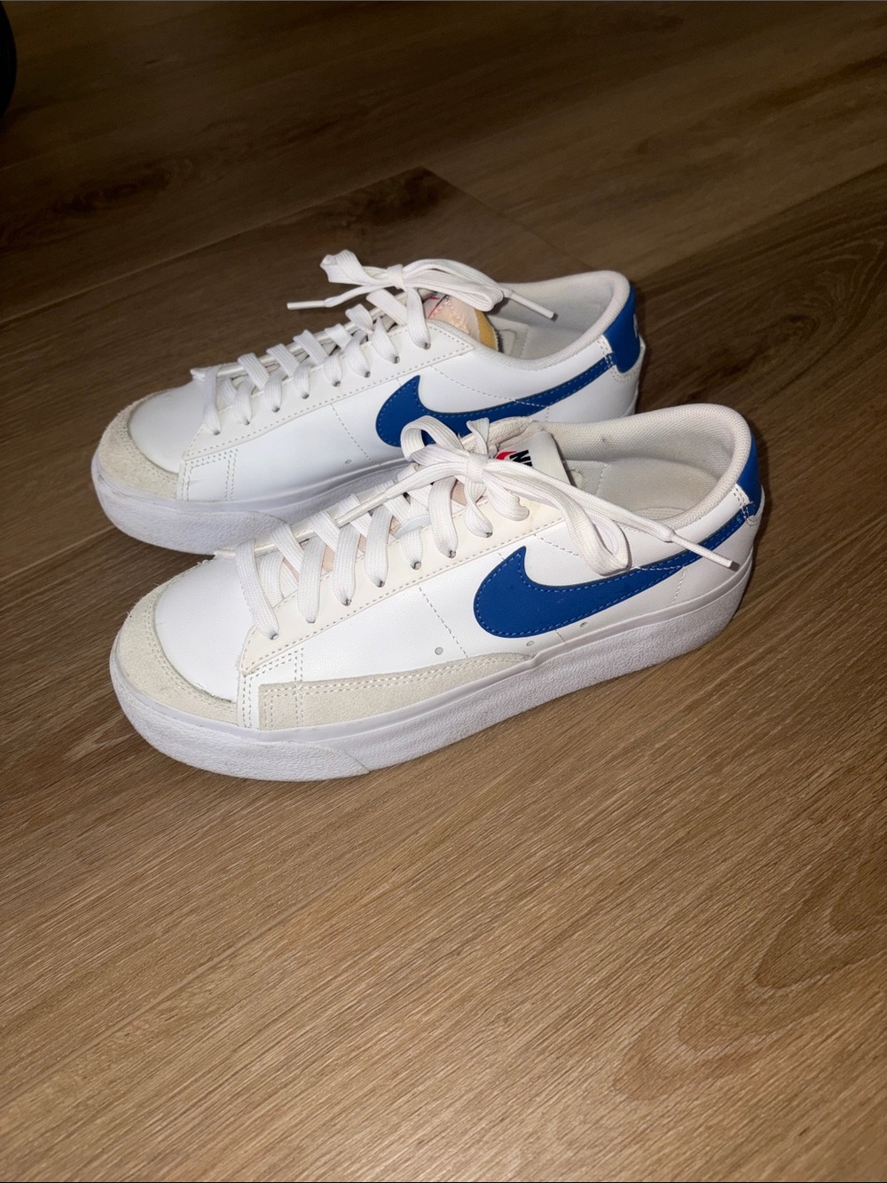 Nike Low-Top Leather Sneakers in White & Blue